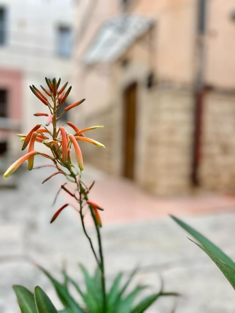 Light House Holiday home Bisceglie